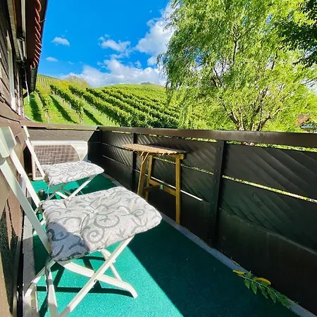 בית הארחה Am Weinberg סאסבאכוואלדן